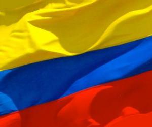 Puzzle Σημαία της Κολομβίας